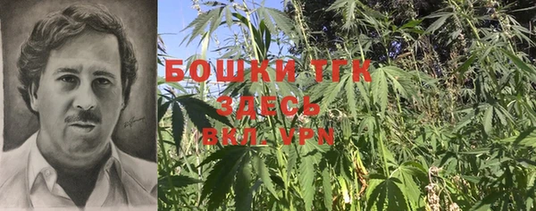мяу мяу мука Арсеньев