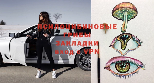 мяу мяу мука Арсеньев