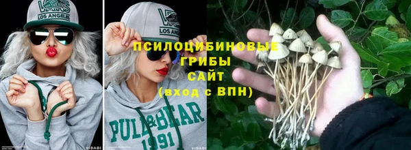 мяу мяу мука Арсеньев